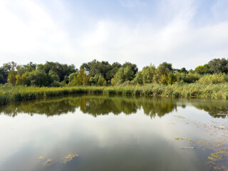 Airport Lake, pond, Almaty, Kazakhstan