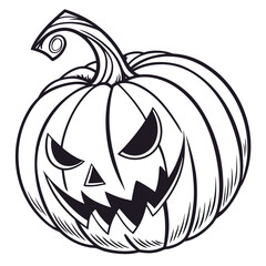 pumpkin on a white background