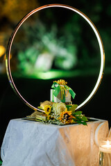 wedding, gift, party, ceremony, bride and groom, package, white, box, sugared-almond, ribbon, tradition, celebration, decoration, invited, bride, flake, love, memory, silver, banquet, bow, catering, f