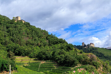 Panorama with Thurnstein Castle, Tyrol Castle (Schloss Tirol) and vineyards in the mountains of Tirol (Dorf Tirol) in South Tyrol, Italy