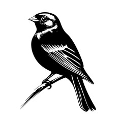 Songbird silhouette on branch — delicate sparrow or finch perch icon, nature wildlife vector illustration