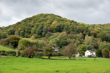 wooded hill in autumn