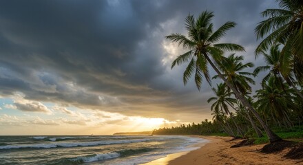 Palmlined beach with stormy skies and golden sunset rays
