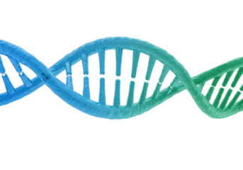 Gradient DNA molecule isolated, double helix structure in blue and green PNG, genetic code for science and medical research