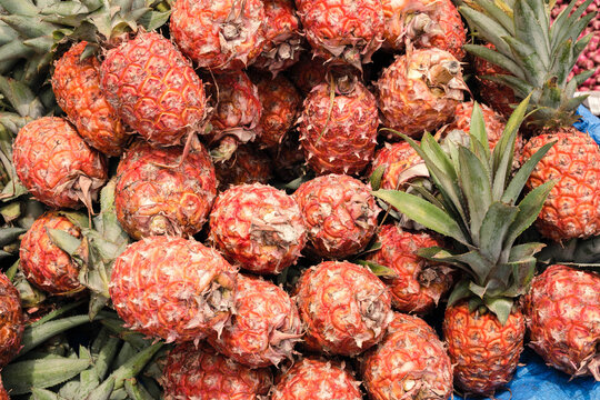 Pineapple from Kolli Hills