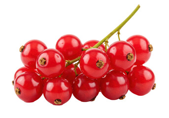 Bunch of red currants isolated on transparent background, fresh and juicy summer fruit for healthy eating and dessert