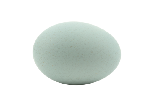 Light blue speckled egg isolated PNG, natural food ingredient for Easter and baking projects on transparent background