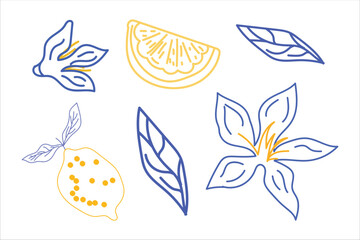 Summer Citrus Lemon Blossom And Leaf Illustration