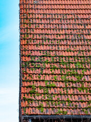 Schäden an einem alten Dach