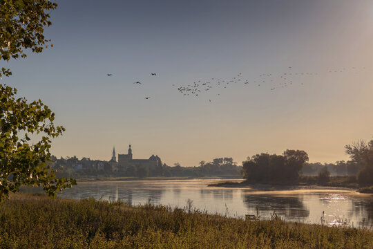 Schloss Coswig an der Elbe,  S/A