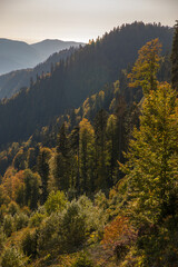 Autumn mountain landscape, Rosa Peak, Krasnaya Polyana, Sochi, road to the waterfalls