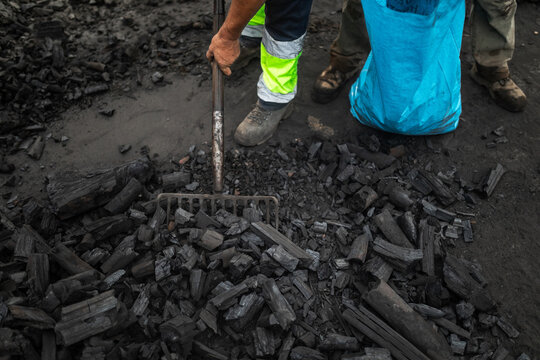 Two workers collecting burned wood in charcoal factory