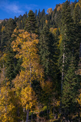 Autumn mountain landscape, Rosa Peak, Krasnaya Polyana, Sochi, road to the waterfalls