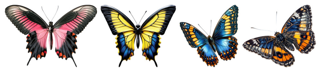 Naklejka premium PNG Colorful butterflies in flight, element set on transparent background