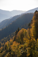 Autumn mountain landscape, Rosa Peak, Krasnaya Polyana, Sochi, road to the waterfalls
