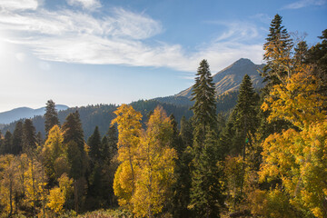 Autumn mountain landscape, Rosa Peak, Krasnaya Polyana, Sochi, road to the waterfalls
