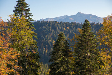 Autumn mountain landscape, Rosa Peak, Krasnaya Polyana, Sochi, road to the waterfalls
