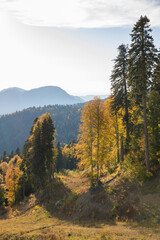 Autumn mountain landscape, Rosa Peak, Krasnaya Polyana, Sochi, road to the waterfalls
