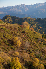 Autumn mountain landscape, Rosa Peak, Krasnaya Polyana, Sochi, road to the waterfalls
