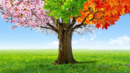 Four seasons illustration showing summer autumn winter and spring with trees and weather elements
