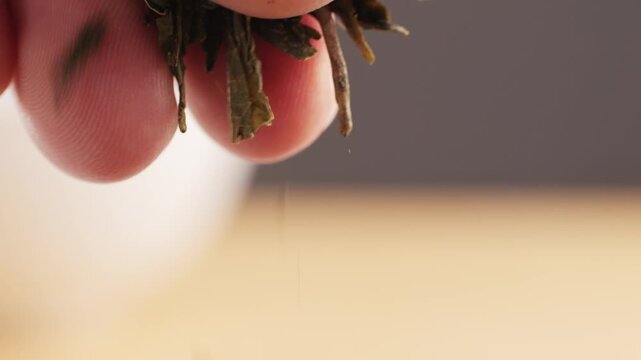 High quality Japanese Gyokuro sencha dried tea leaves close up in a tea tin