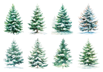 PNG Watercolor snowy evergreen trees, element set on transparent background