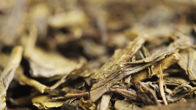 High quality Japanese Gyokuro sencha dried tea leaves close up in a tea tin