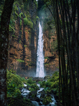 View of a powerful waterfall cascading down a rugged cliff face, embraced by lush green foliage and dark bamboo, Kapas Biru Waterfall, Jawa Timur, Indonesia.