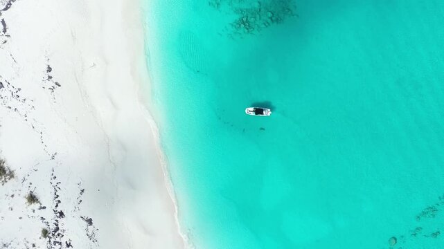 Top-down aerial view of a oat and sharks on a pristie tropical beach.