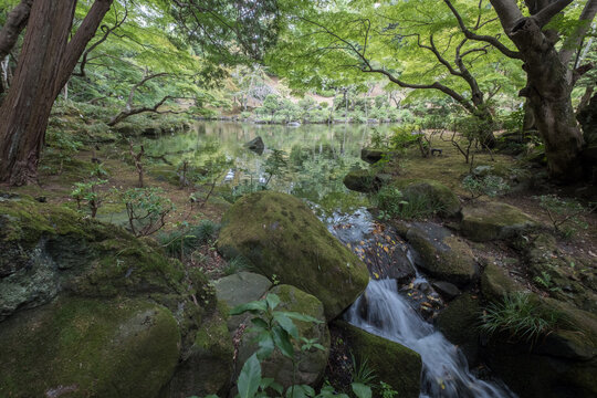 View of a serene pond reflecting the lush green canopy above, with moss-covered rocks and a gentle stream cascading down, Narita, Chiba, Japan.
