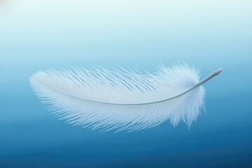 Obraz premium A single delicate white feather floats gracefully against a serene gradient blue background. This minimalist image perfectly captures lightness, purity, and tranquility.