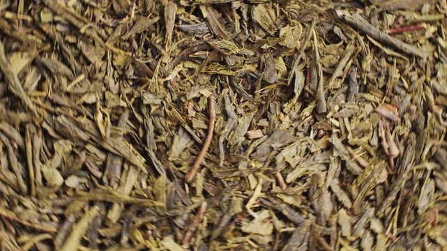 High quality Japanese Gyokuro sencha dried tea leaves close up in a tea tin