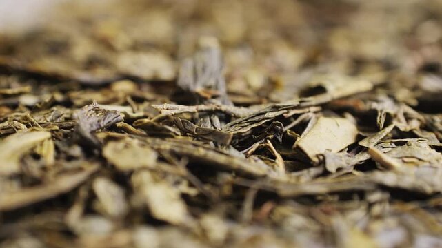 High quality Japanese Gyokuro sencha dried tea leaves close up in a tea tin