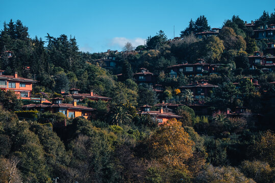 View of houses nestled amongst the lush trees of a hillside, where the autumn leaves contrast against the blue sky, Istanbul, &Auml;&deg;stanbul, T&Atilde;&frac14;rkiye.