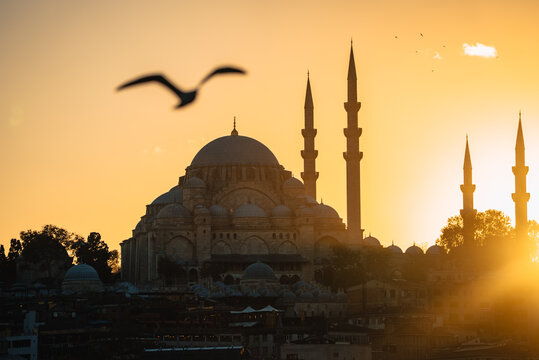 View of the silhouette of a grand mosque with towering minarets pierced by the warm glow of the setting sun, as a bird soars overhead, Istanbul, &Auml;&deg;stanbul, T&Atilde;&frac14;rkiye.