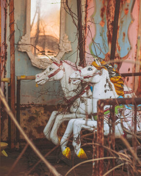 View of ghostly white carousel horses stand frozen amidst a decaying, vine-choked carnival, their painted smiles fading under the weight of time, Osaki, Miyagi, Japan.
