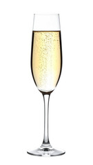 A tall, slender glass of bubbly champagne, illuminated against a stark black background