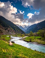 Mountain river valley, springtime