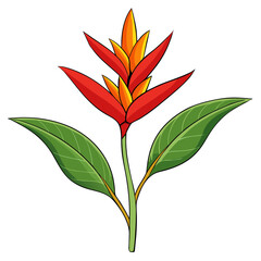 Illustration of a heliconia flower tropical floral design exotic plant red and yellow bloom artwork