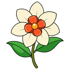 Illustration of a white flower with orange center and green leaves for botanical designs
