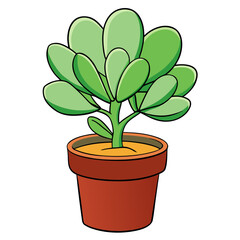 Drawing of a potted jade plant succulent illustration for home decor and gardening enthusiasts art design