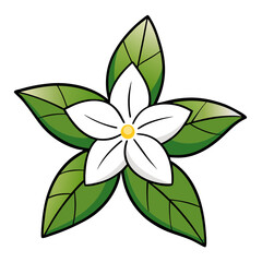 Beautiful white flower with green leaves vector illustration floral design botanical art nature drawing