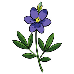 Illustration of a purple lupine flower with green leaves for botanical designs and artwork