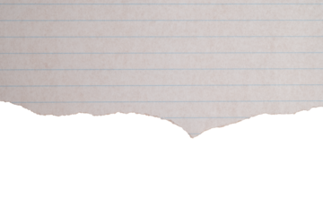 Torn lined paper with transparent background
