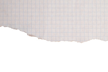Torn squared paper with transparent background
