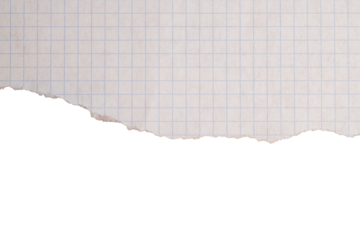 Torn squared paper with transparent background
