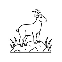 Goat standing on a hill with grass and rocks coloring book vector