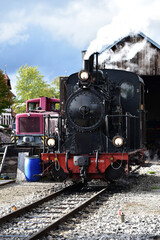 Fototapeta premium Schmalspur - Museumsbahn auf dem Härtsfeld mit Dampflokomotive, Personenwagen, Triebwagen in herbstlicher Landschaft
