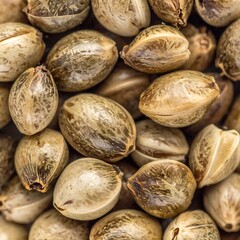 Close-up view of hemp seeds.  A variety of light brown and dark brown seeds are densely packed together, filling the image.  The seeds are oval-shaped and have a slightly rough texture
