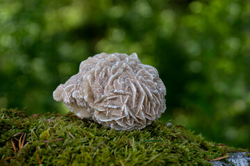 Desert Rose Crystal on Moss